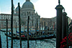 Anchored gondolas in venice