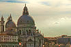 Basilica Della Salute Venezia