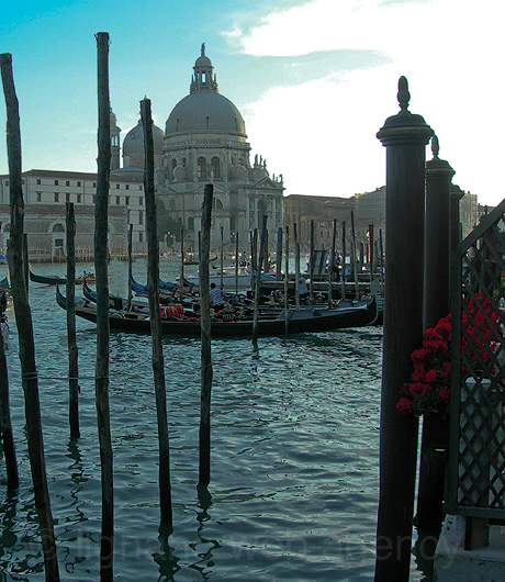 Gondole ancorate in venetia foto